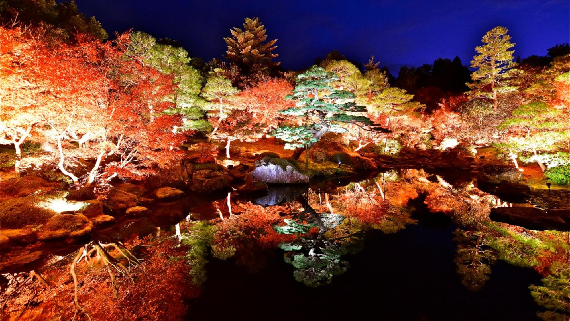 秋の園内は紅葉であふれ、300本以上の色鮮やかな木々を眺めていただけます。夜にはライトアップも