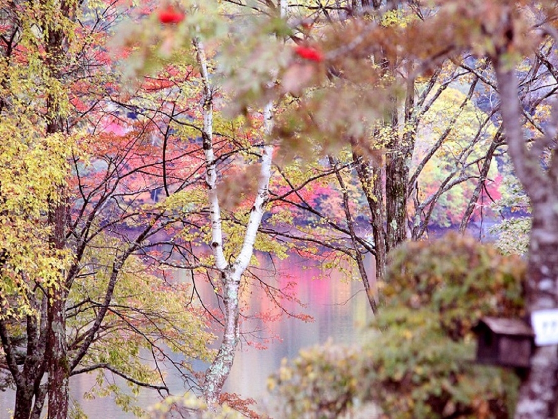 ☆日光東照宮などの日光観光には最適☆　星の降る宿　丸沼でくつろぐ１泊２食付きプラン♪♪
