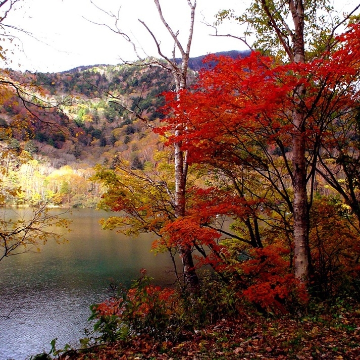 ☆日光東照宮などの日光観光には最適☆　星の降る宿　丸沼でくつろぐ１泊２食付きプラン♪♪