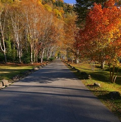 【風景＊秋】紅葉の見頃は１０月中旬ごろ