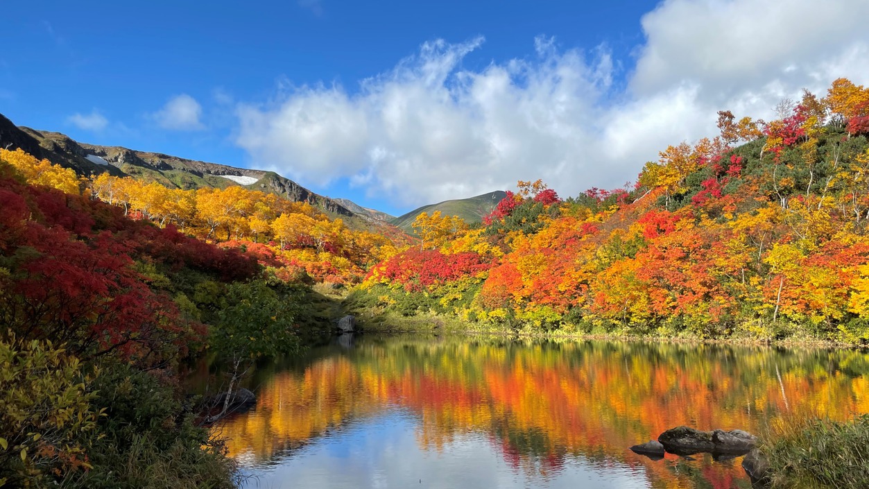 日本一早く美しい紅葉！街自体が紅葉色に染まる層雲峡へ〜オールインクルーシブ■LIVEビュッフェ