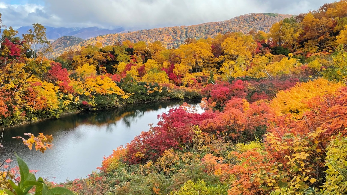 日本一早く美しい紅葉！街自体が紅葉色に染まる層雲峡へ〜オールインクルーシブ■LIVEビュッフェ