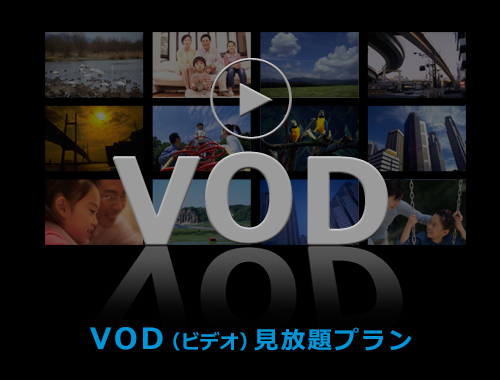 ＶＯＤ（ビデオ）見放題プラン（素泊まり）