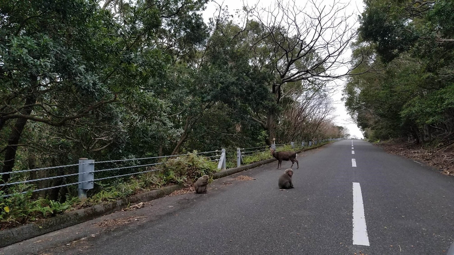 *【西部林道】当館より車で1時間10分