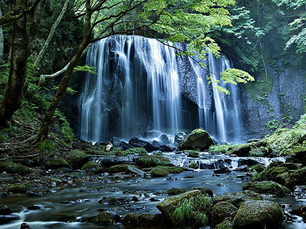【素泊まり】中ノ沢温泉をお気軽に♪源泉かけ流しの薬湯で癒しのひととき。最終20時チェックインOK！