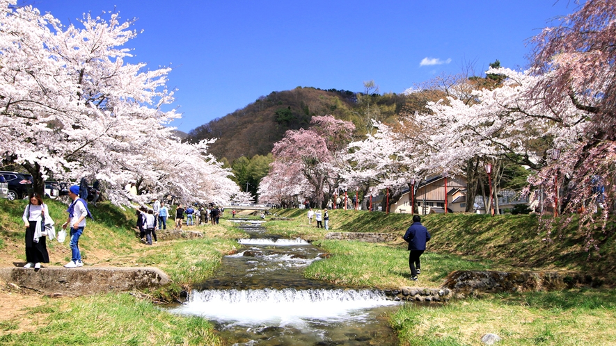 ■周辺観光／観音寺川＿春には桜のトンネルとなり美しい景色が広がる猪苗代の代表的な桜の名所です。