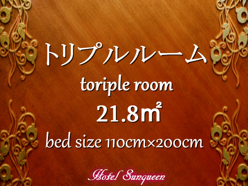 トリプル21.8㎡