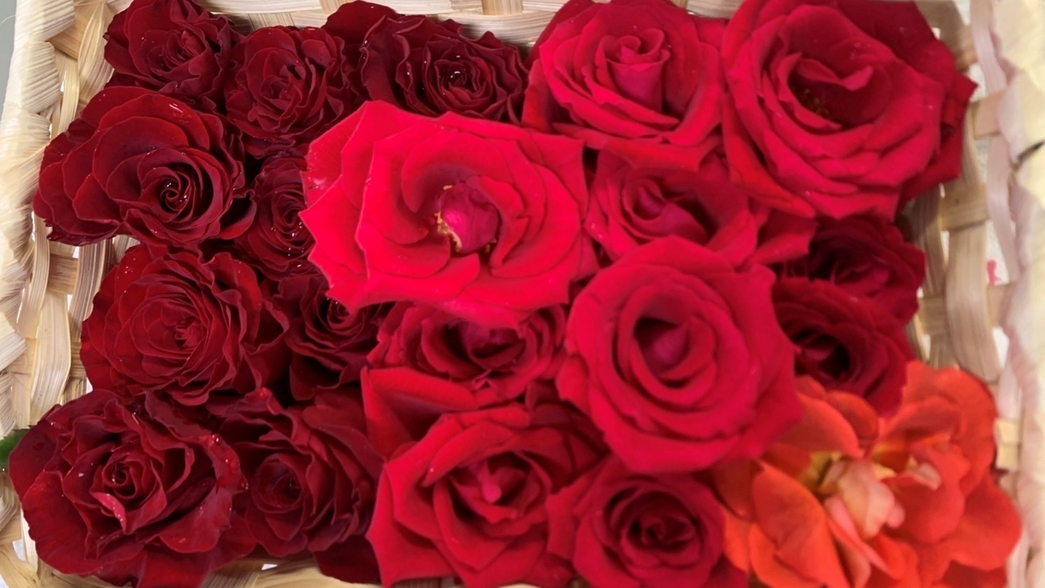 【大人旅】トゥーダズンローズのバラ風呂＆酒スイーツ付！24本の薔薇で1日中あなたを想う〜優美な湯浴み