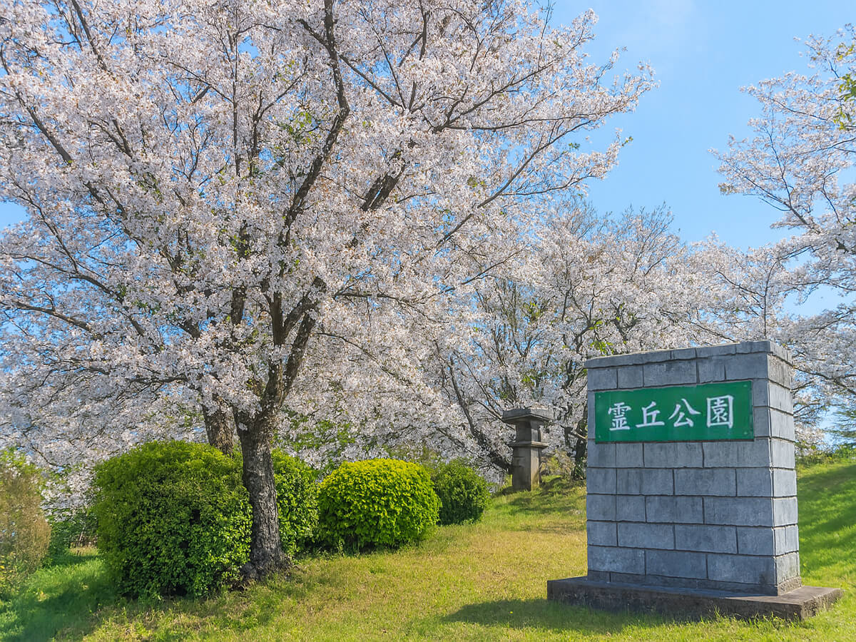 【霊丘公園】ホテルから車で10分。季節の花々も楽しめます