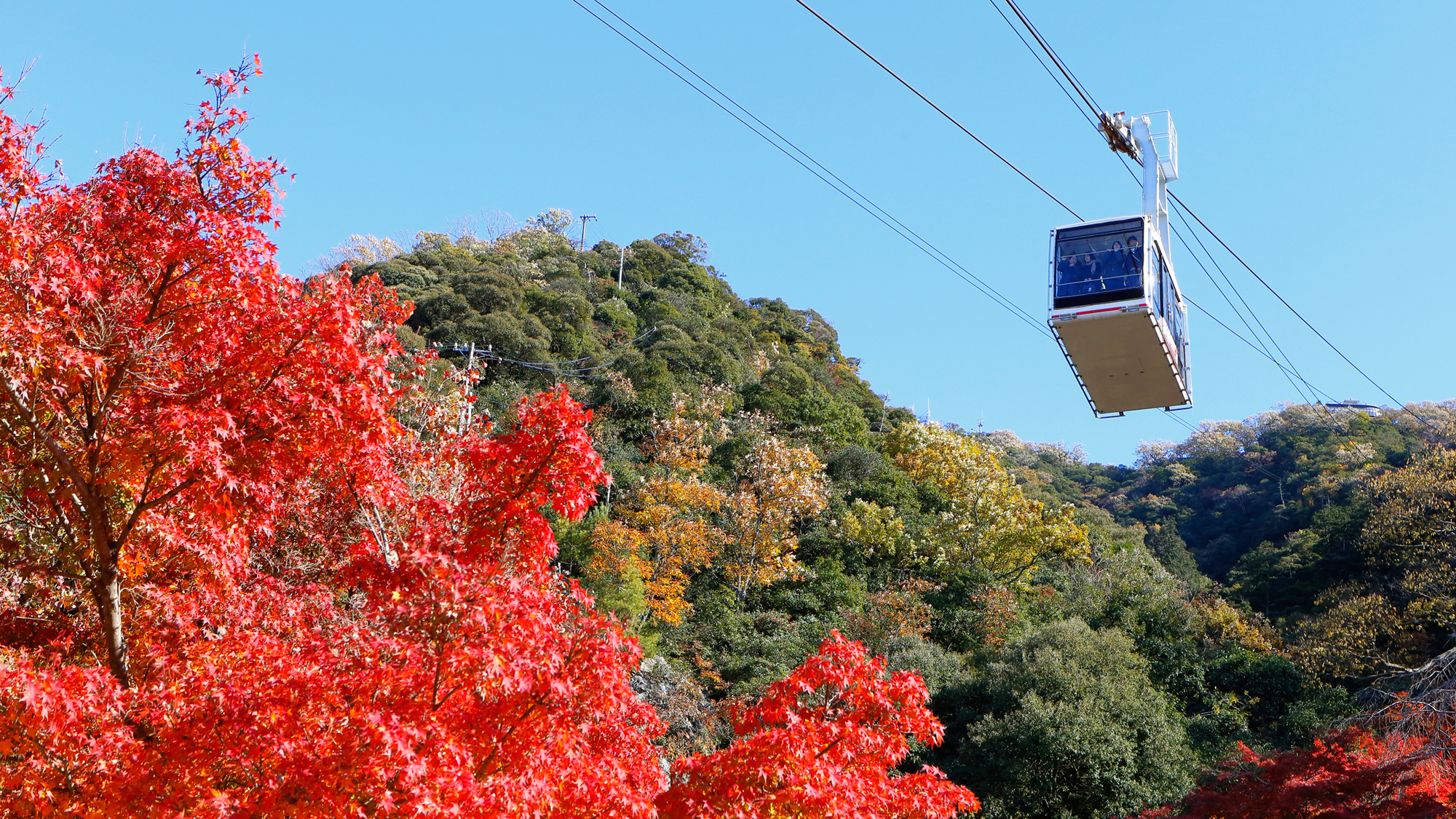 ◆金華山ロープウェイ（車で約15分）◆