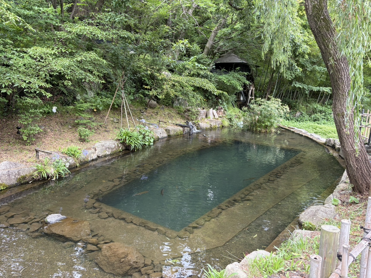 きらの里　敷地内の池
