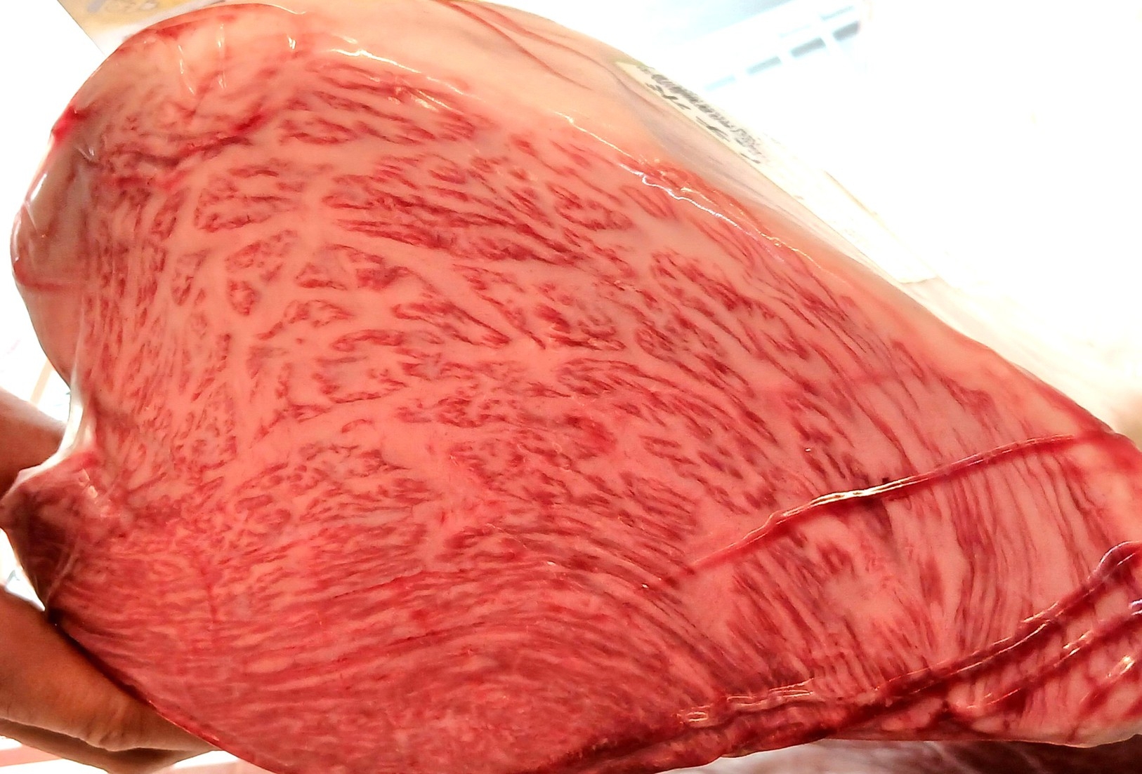 【サマーＳＡＬＥ】6月・7月はＢＢＱを愉しむアクティブ派にお勧め！旅を満喫できる特典付き