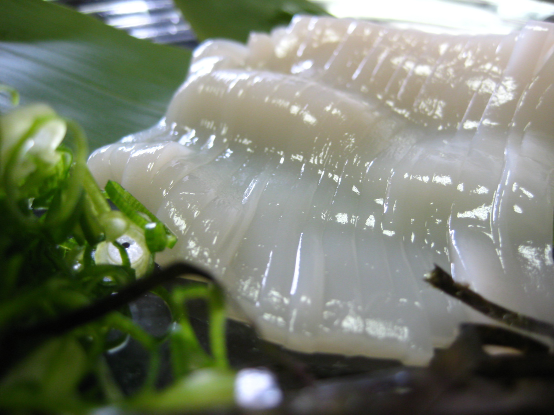 【料理長渾身☆初夏限定】朝獲れ生イカ姿造り1杯×ノド黒塩焼1匹×但馬牛ステーキ100ｇ】但馬豪華競演