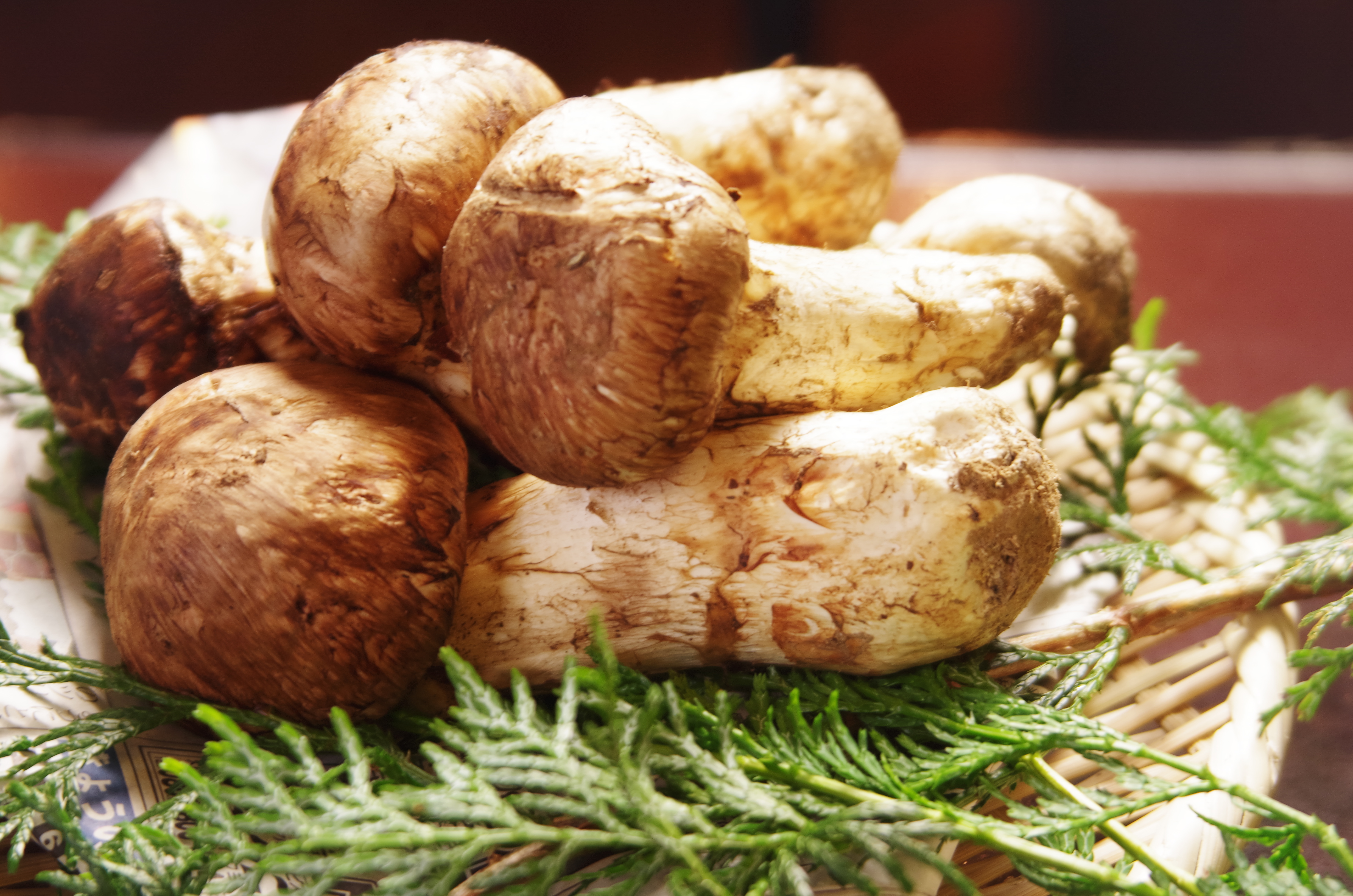 夕食「松茸づくし会席プラン」