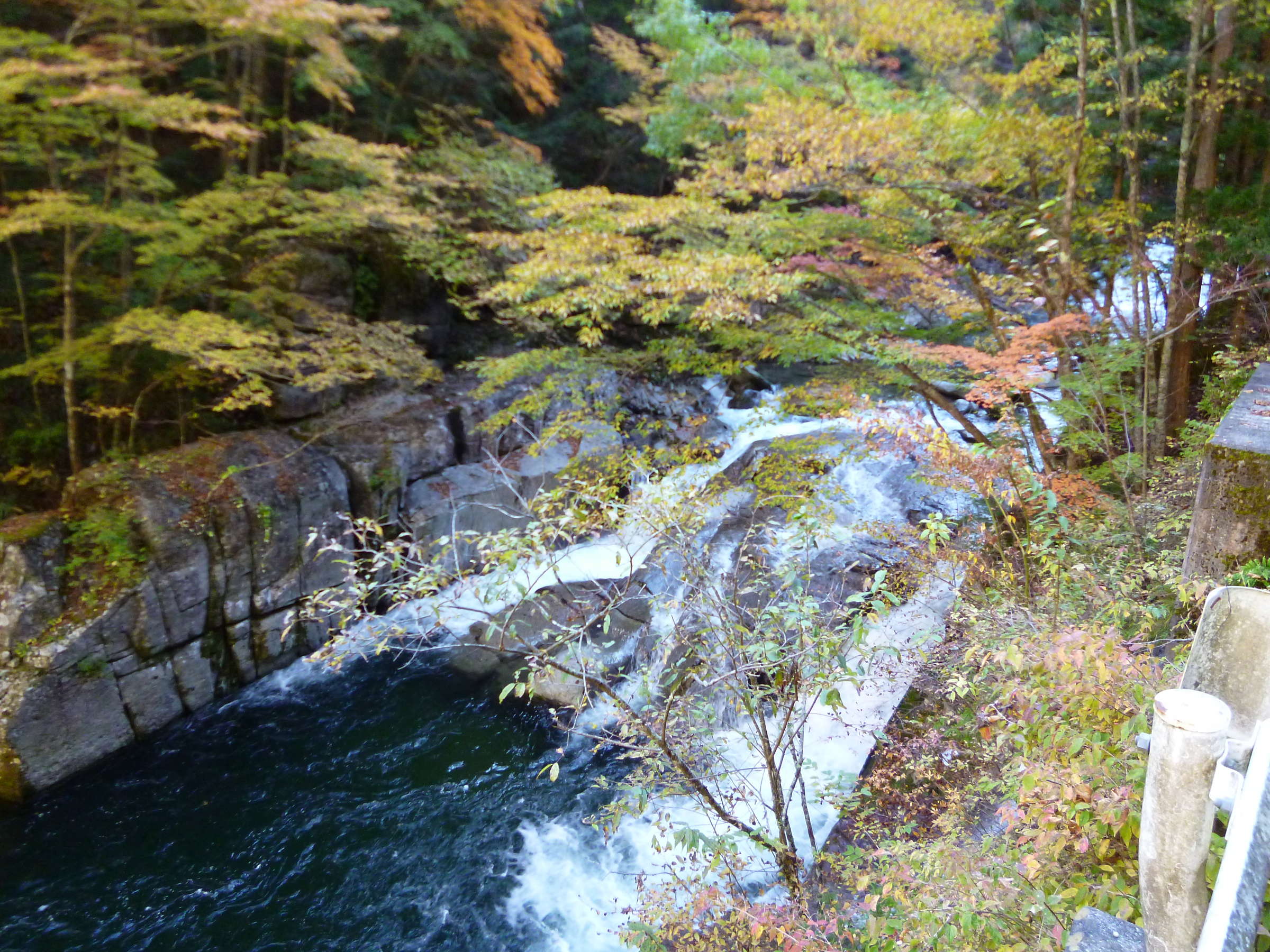 売木村の景勝地 丸畑渓谷の紅葉（当館より車で約15分）