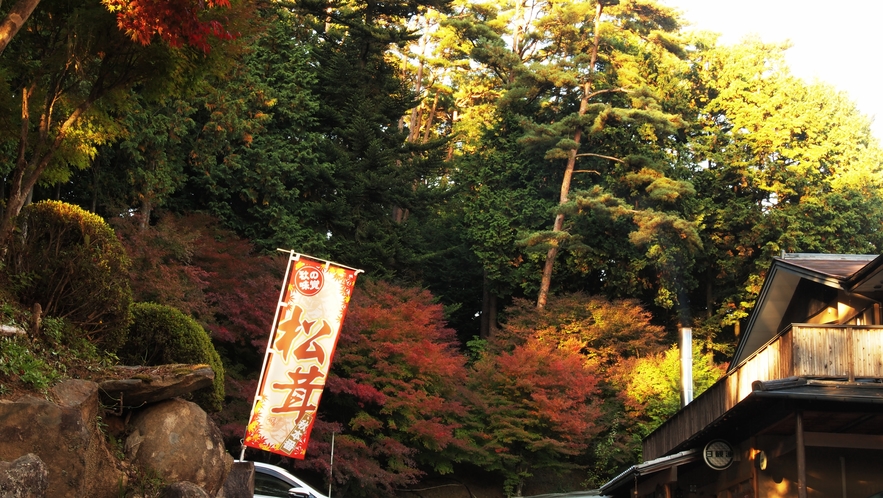 紅葉に彩られた玄関前。秋の美しさと温かさがお出迎え。美食とくつろぎの旅をお楽しみください。