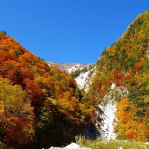 紅葉の『高瀬渓谷』