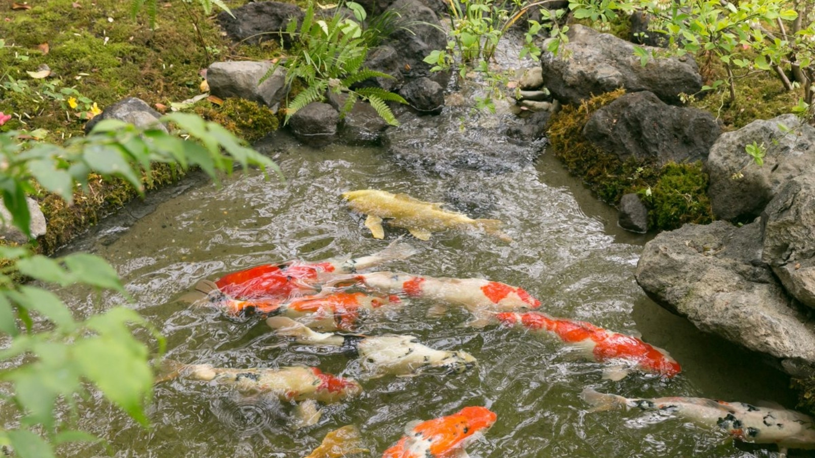 【庭園】