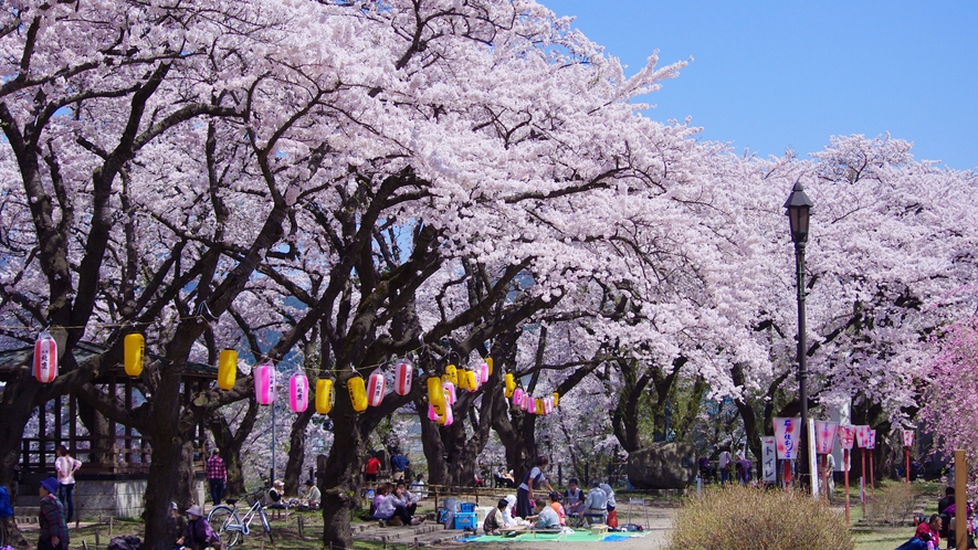*【周辺】桂城公園／大館市を代表する桜の名所。当館より徒歩2分。