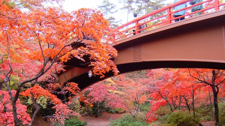 弥彦公園内もみじ谷の観月橋