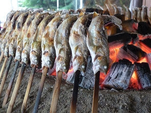 【夕・朝食付】人気コラボ企画★白根魚苑で釣り体験＆塩焼き＆昼食付（翌日利用）