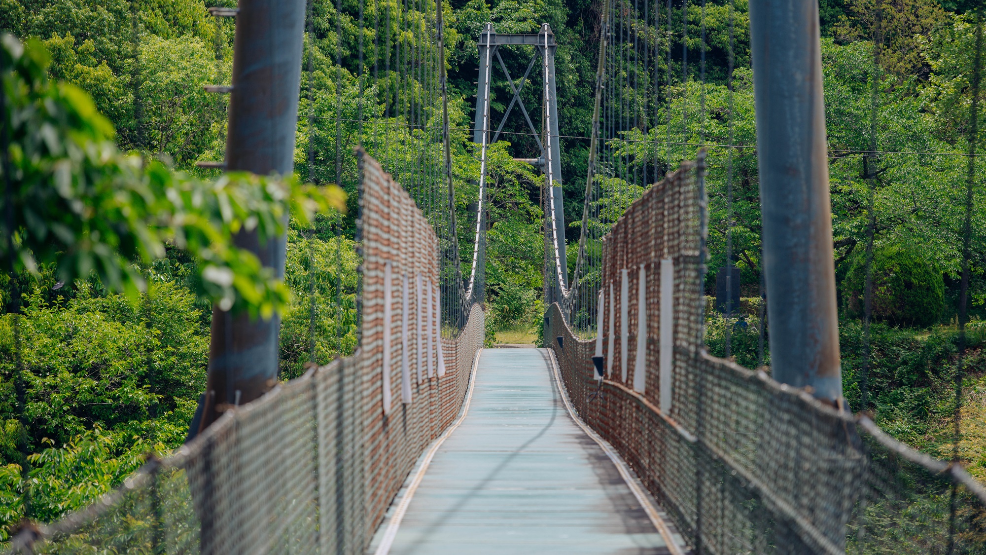 施設周辺　つりばし