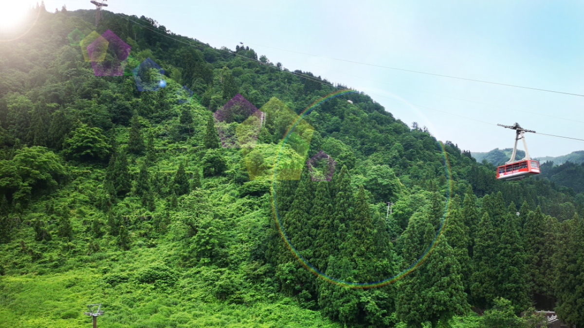 ANY【景観】＜ゲレンデビュー＞greenシーズン湯沢高原ロープウェイを望めます。