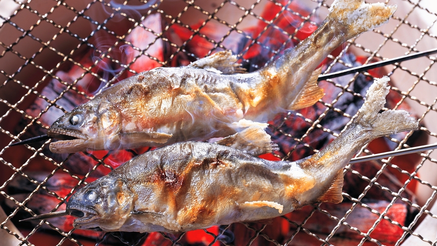 釣り名人”丸さん”の天然鮎の塩焼き　7月8月限定