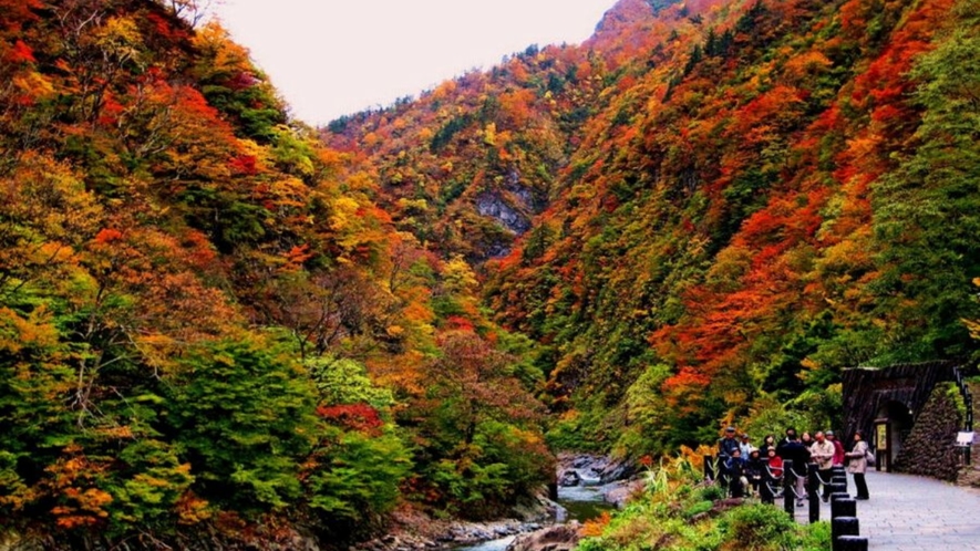 【清津峡】日本3大渓谷　トンネル周辺の秋の紅葉