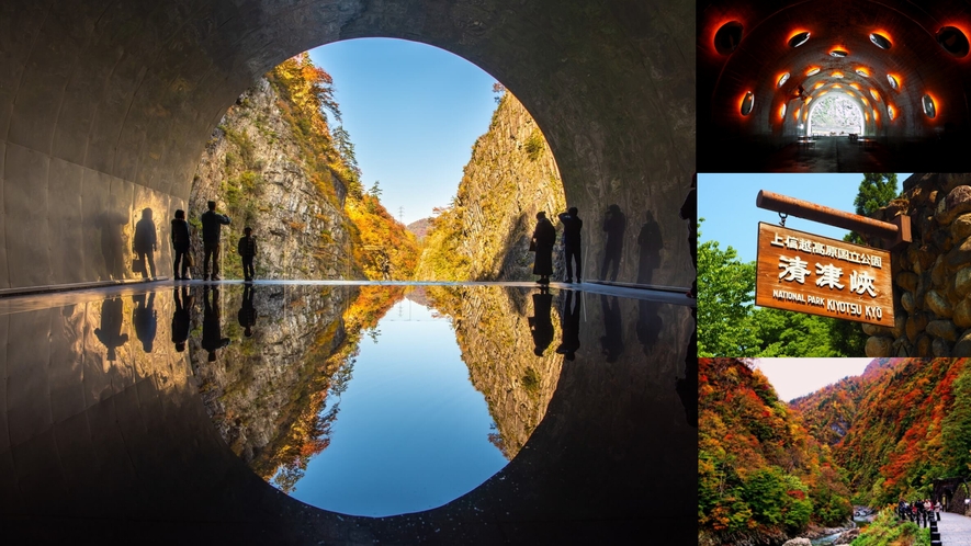 Aコース清津峡トンネル【昭和観光オプショナルツアー】9月～11月　「月・火・水」運行