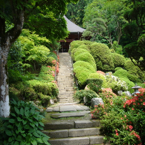 【５０セット限定】　★★令和８年秩父札所午歳総開帳★★　トレーディングカード付プラン♪♪