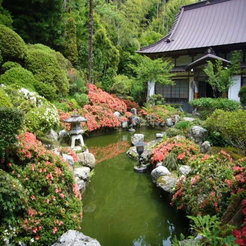 【秩父札所巡り】≪御朱印帳持参でドリンク特典付≫　スタンダードプラン☆　３０番法雲寺まで徒歩５分♪