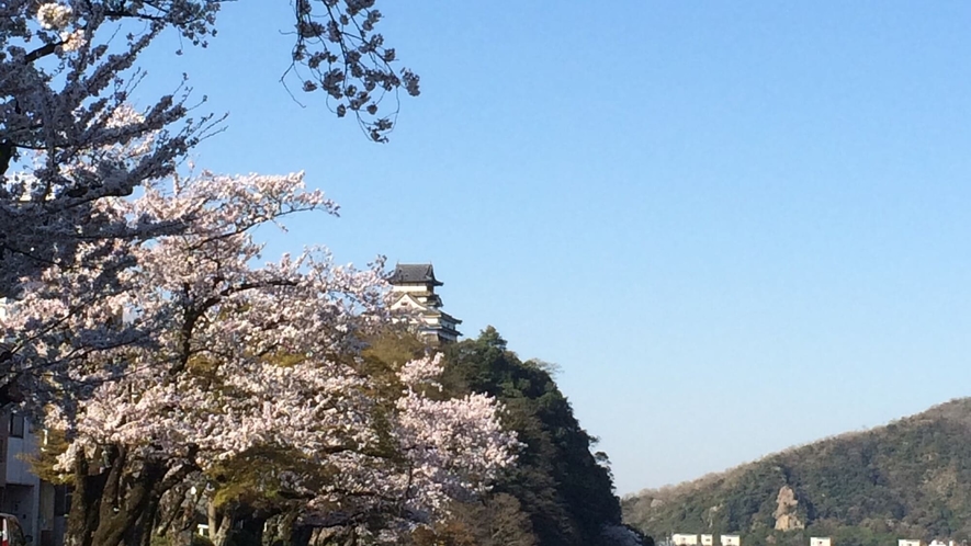 ◆桜と犬山城