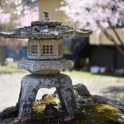 【和牛プラン】最高級部位『上州和牛ヒレ』×名物ソフトシェル渡り蟹姿揚げ×高濃度水素貸切40分無料
