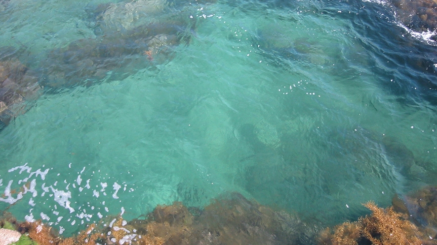 *澄んだ海が気持ちいい！最寄りの海水浴場まではお車で15分です。