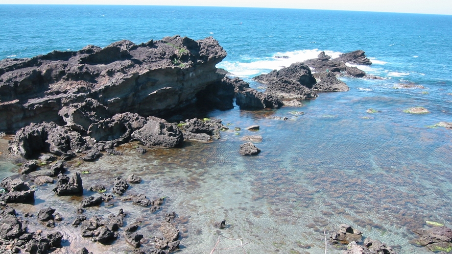 *水のきれいな海水浴場なので磯遊びも楽しめます！