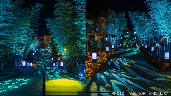 ≪愛犬同伴プラン≫【冬季限定】やさしい詩と光に包まれる冬の温泉旅 〜音信川うたあかり観賞プラン