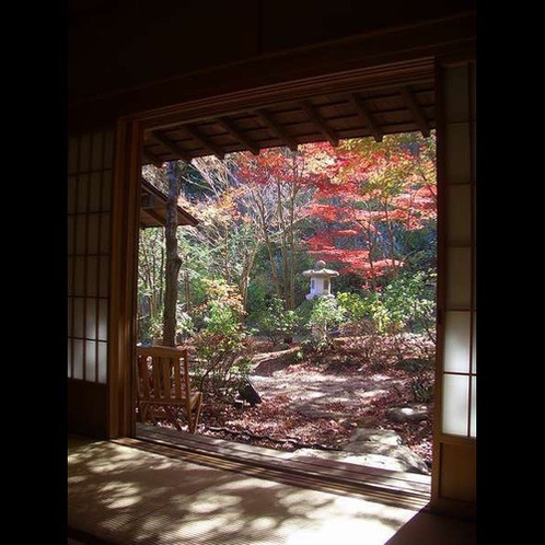 四季折々彩りを変える日本庭園