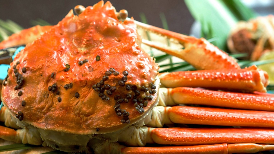 【加能蟹-ズワイ蟹】北陸の味覚の大様『加能蟹』を＜お客様のお好みのお料理＞でご堪能下さい。