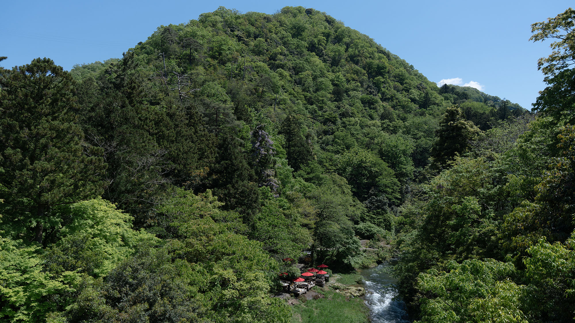 【鶴仙渓-初夏】山中温泉を流れる大聖寺川沿いに広がる美しい渓谷の美しさをご体感下さい