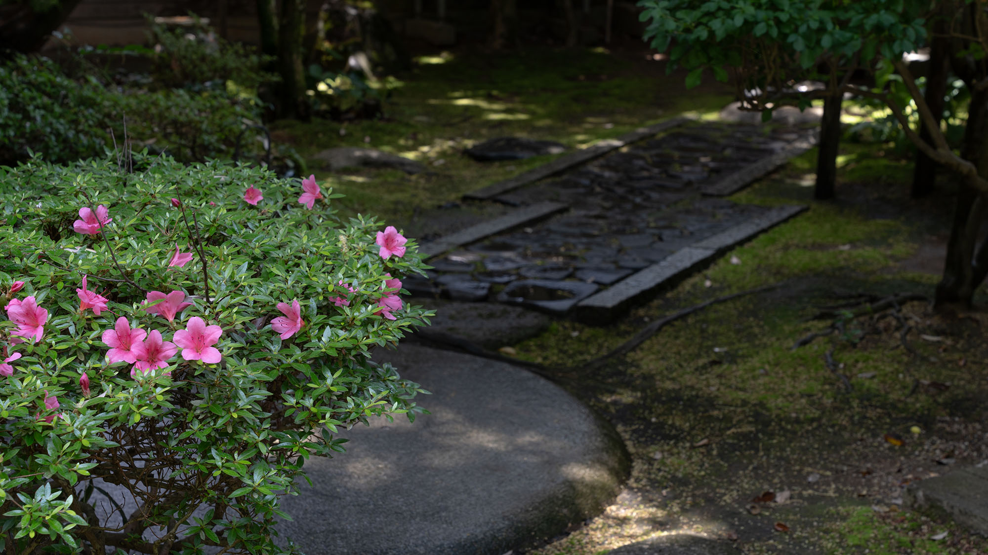 【庭園】四季折々に移り変わる自然美を身近に感じながらゆったりと時が流れる滞在をお楽しみ下さい