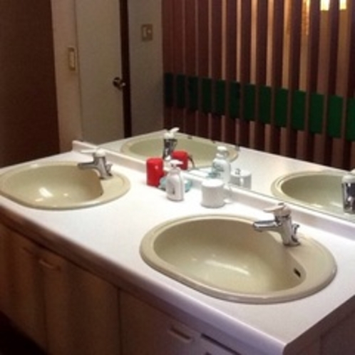 洗面 / The bath room area