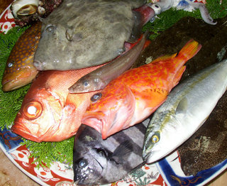 日本海地魚