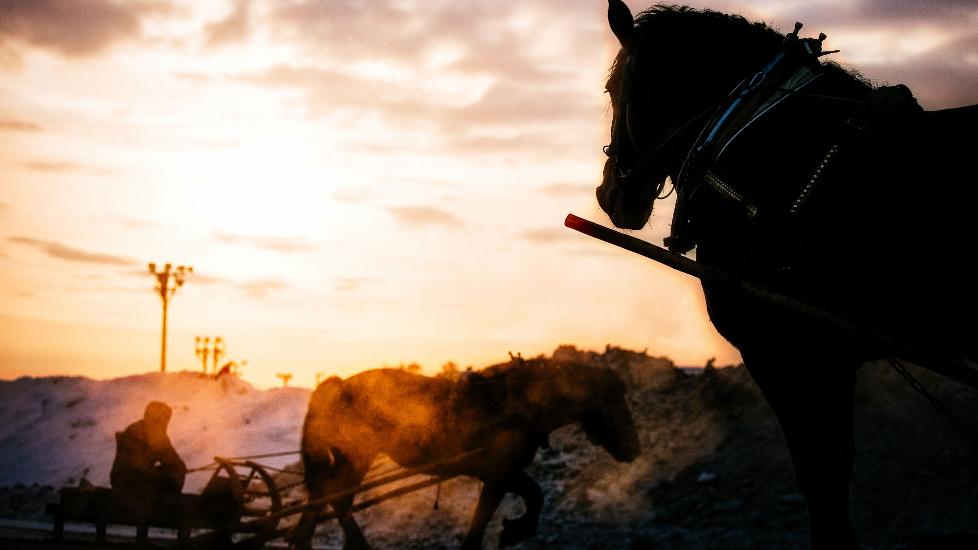 十勝ばんえい競馬