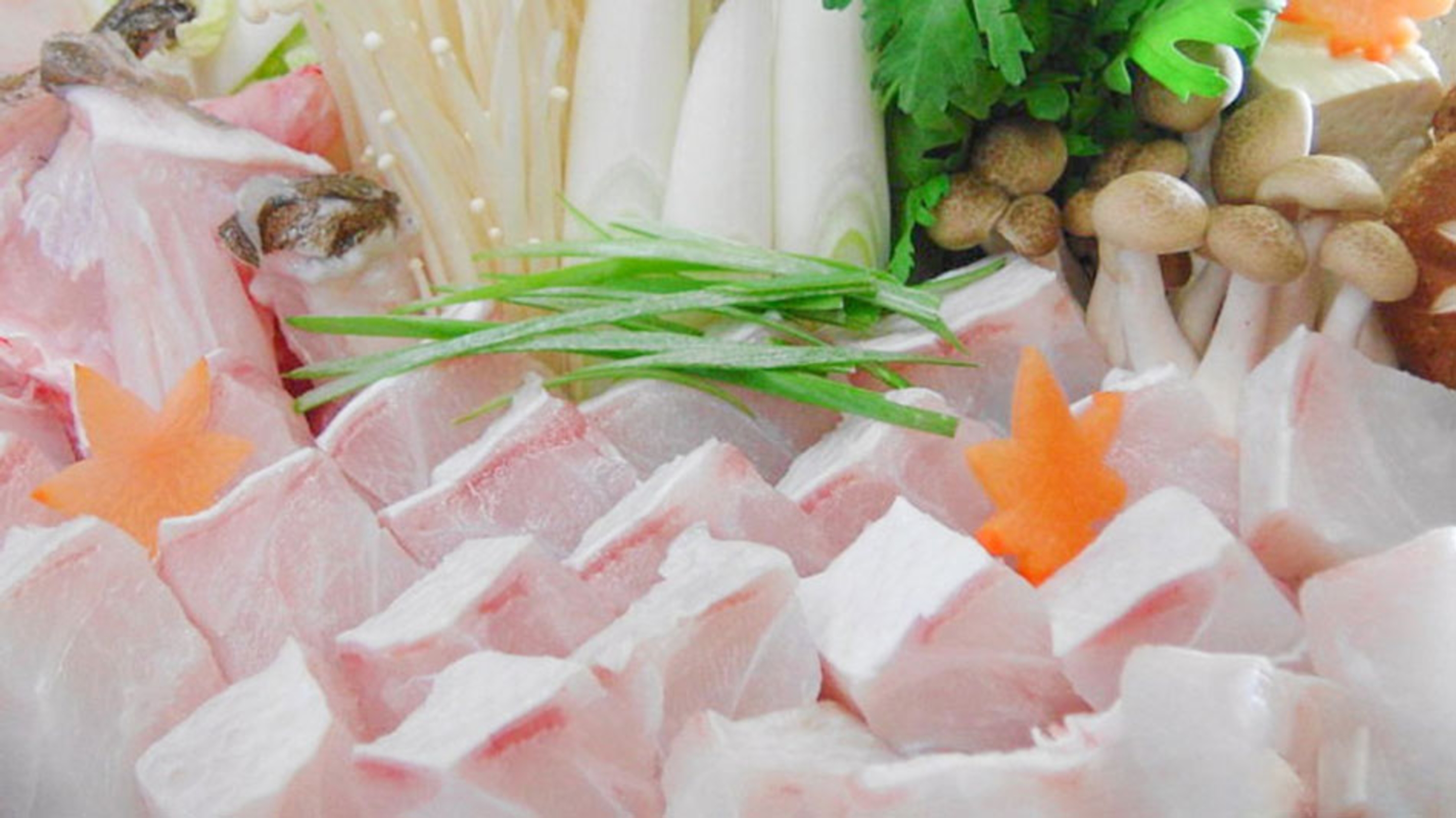 南紀白浜温泉 料理民宿 浜ぼう 宿泊予約 楽天トラベル 南紀白浜温泉 料理民宿 浜ぼう 宿泊予約 楽天トラベル