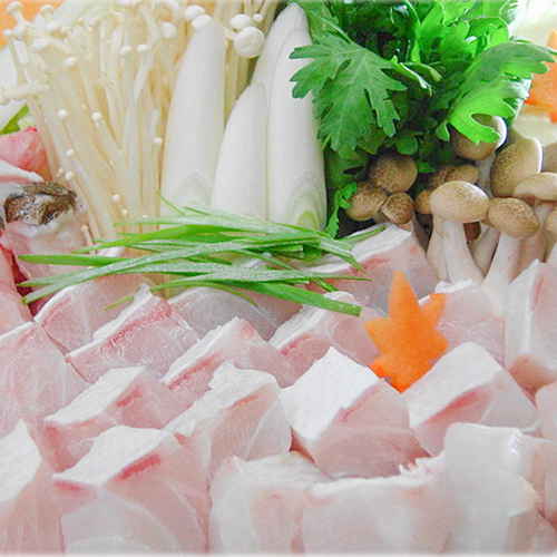 【クエ鍋一例】ぶりんぶりんの肉厚のクエ！火を通すと舌でほどけ、噛むほどに旨味が引き立ちます。