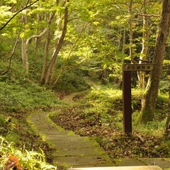 遊歩道