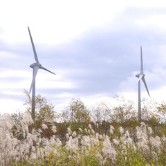 布引山の風力発電