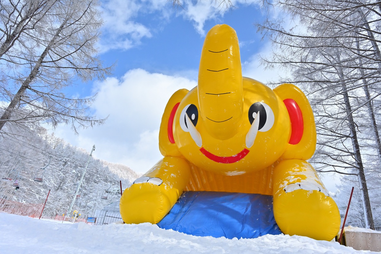 【早期割60】ファミリー雪あそび☆ソリエリア入場とレンタルウェア付き♪1泊2食ビュッフェプラン