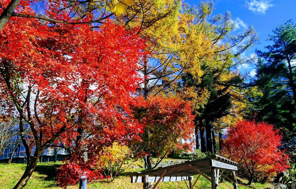 【福島県「また来て。」割】でお得に泊まれる！秋から冬の猪苗代満喫！夕朝食ビュッフェプラン